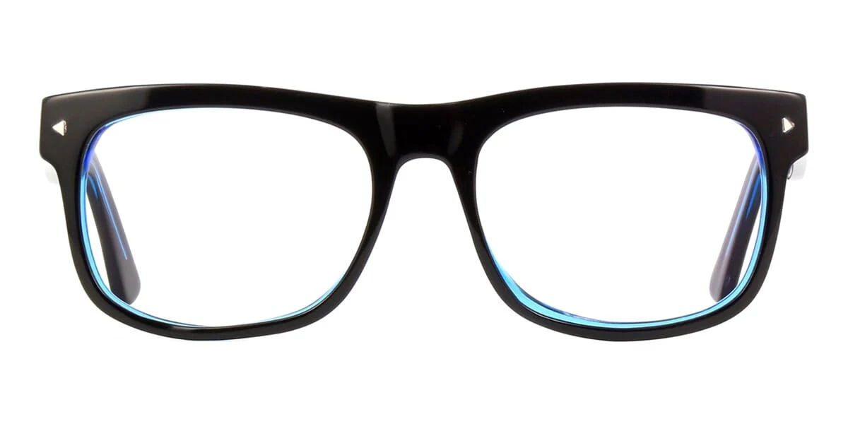 Carnegie Optical AP13D - Image 2