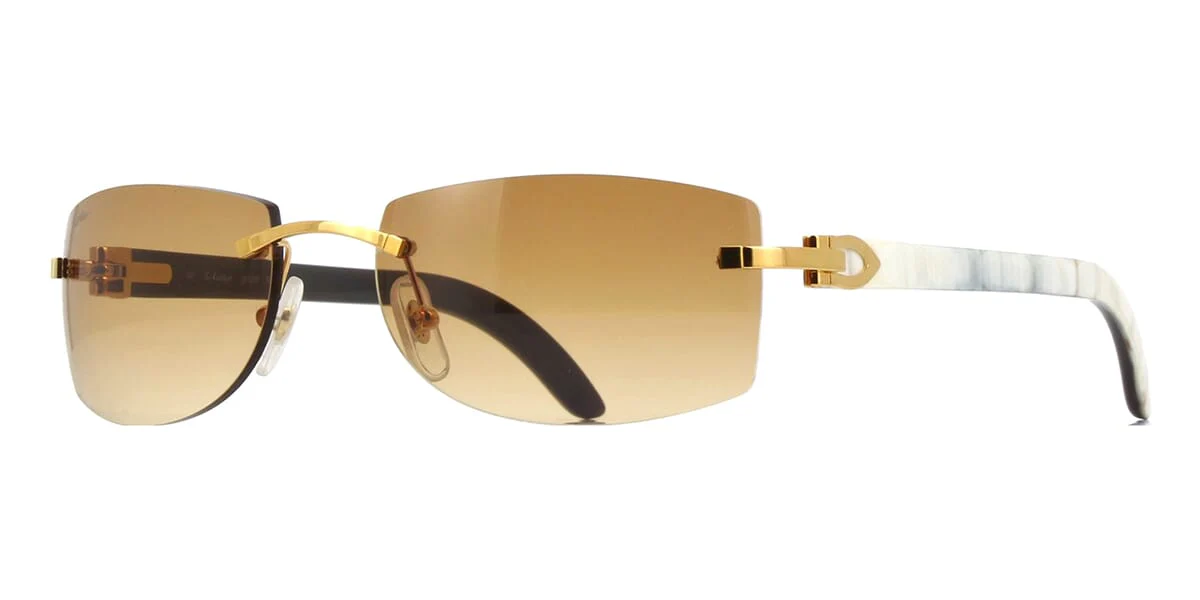 Cartier Buffalo Horn CT0017RS 001
