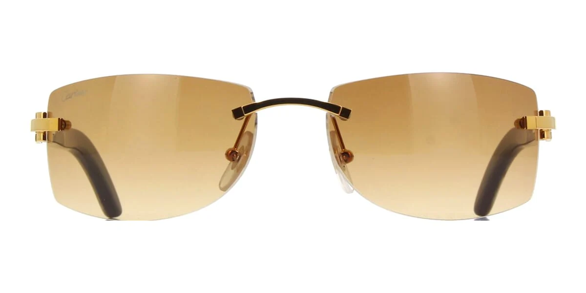 Cartier Buffalo Horn CT0017RS 001 - Image 2