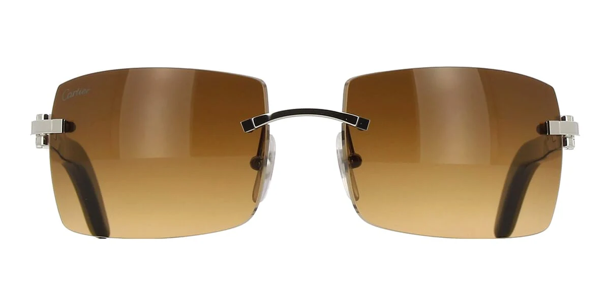 Cartier Buffalo Horn CT0019RS 001 - Image 2