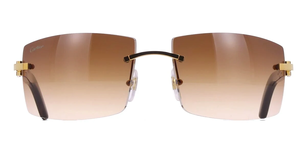 Cartier Buffalo Horn CT0021RS 001 - Image 2