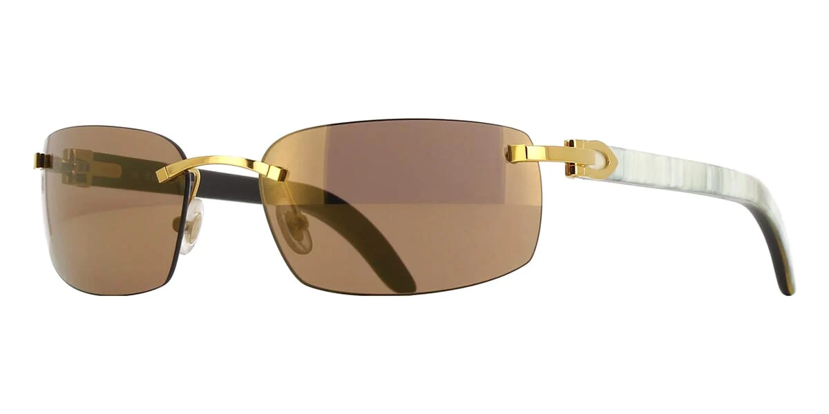 Cartier Buffalo Horn CT0046S 004
