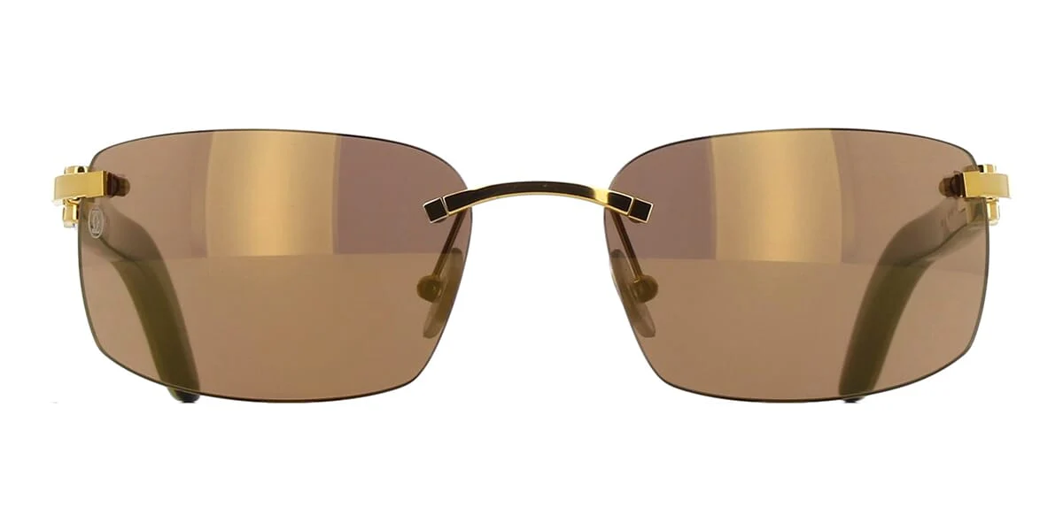 Cartier Buffalo Horn CT0046S 004 - Image 2