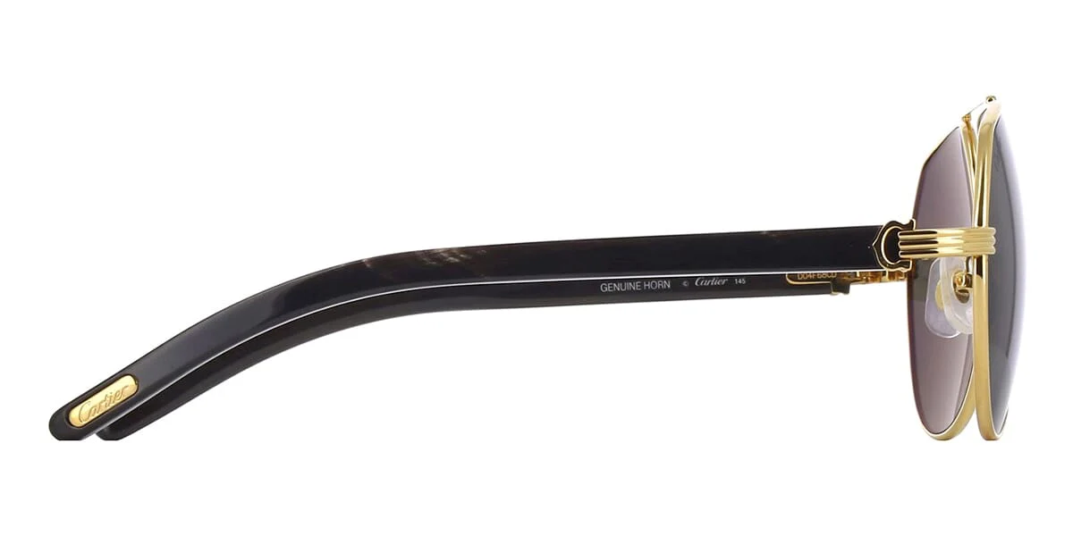 Cartier Buffalo Horn CT0272S 001 Polarised - Image 3