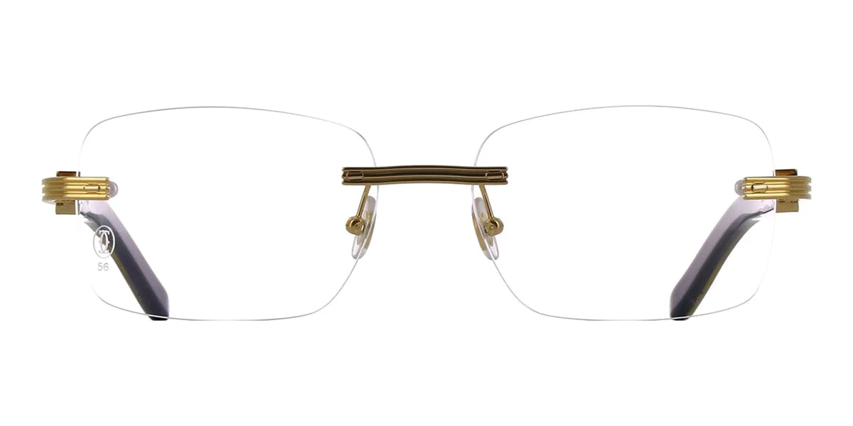 Cartier Buffalo Horn CT0286O 003 - Image 2