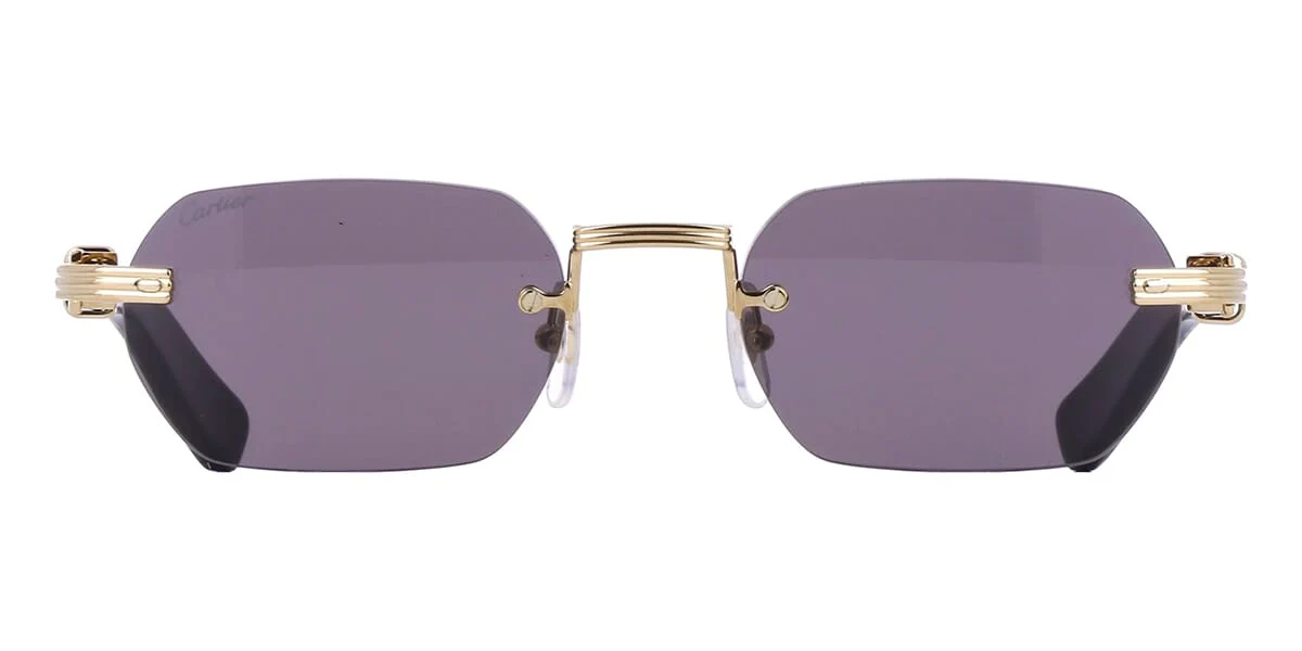 Cartier Buffalo Horn CT0362S 001 3J1 - Image 2