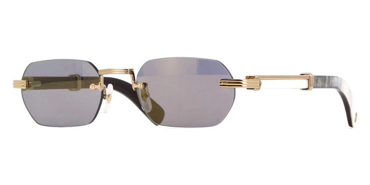 Cartier Buffalo Horn CT0362S 003