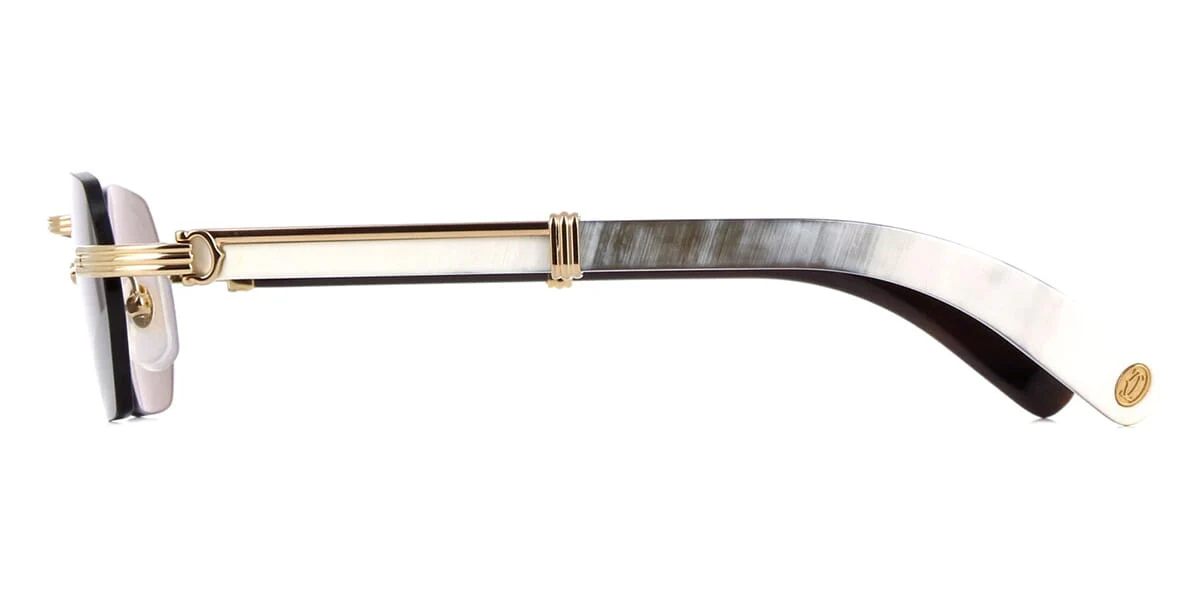 Cartier Buffalo Horn CT0362S 003 - Image 3
