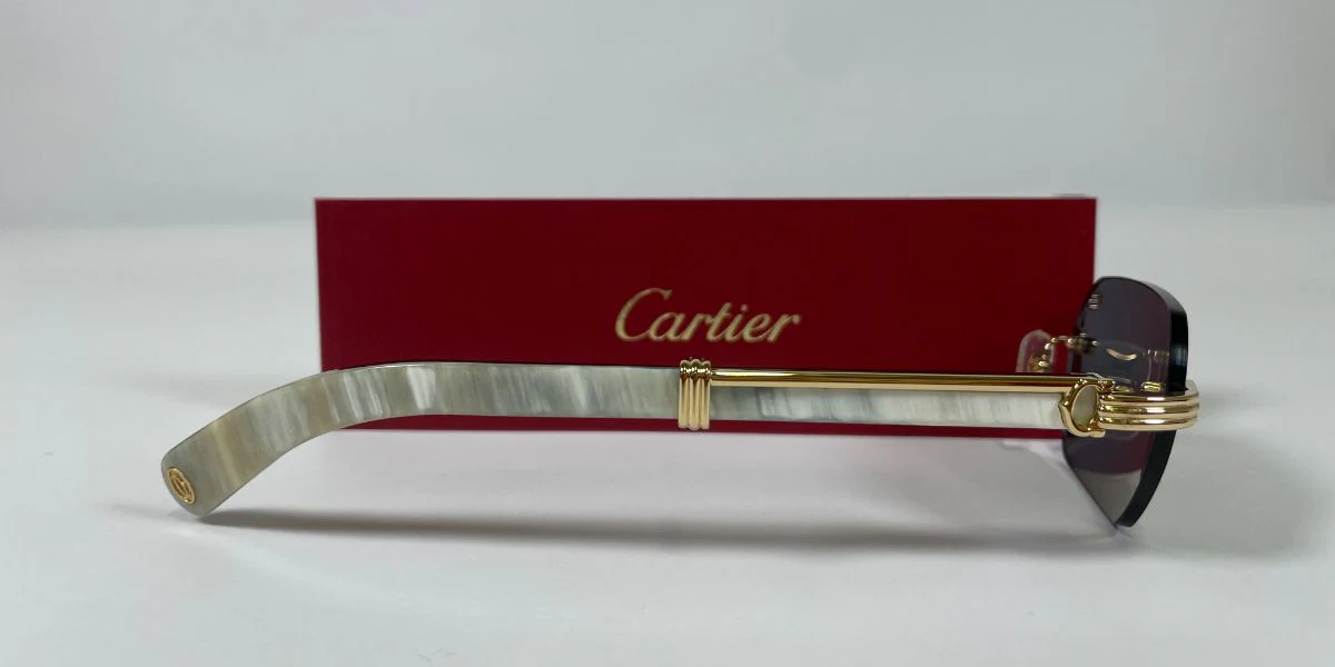 Cartier Buffalo Horn CT0362S 003 - Image 5