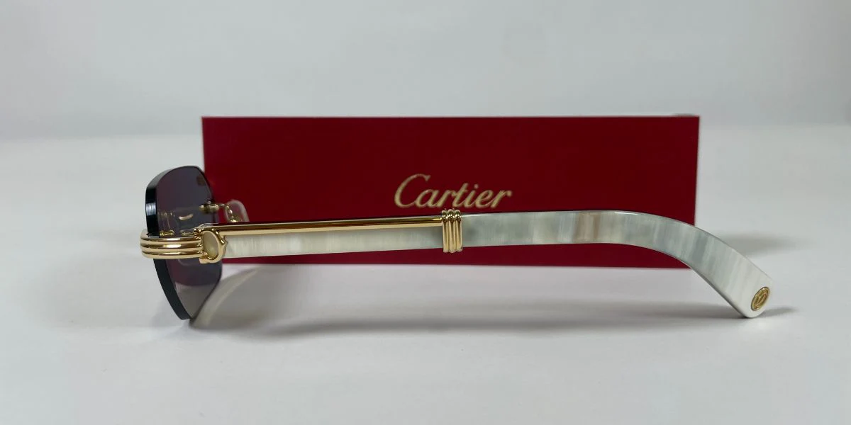 Cartier Buffalo Horn CT0362S 003 - Image 6