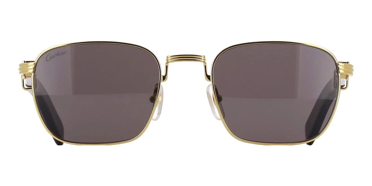 Cartier Buffalo Horn CT0363S 001 - Image 2