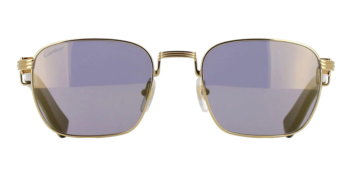 Cartier Buffalo Horn CT0363S 003 - Image 2
