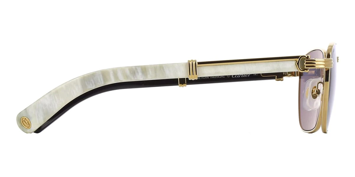 Cartier Buffalo Horn CT0363S 003 - Image 3