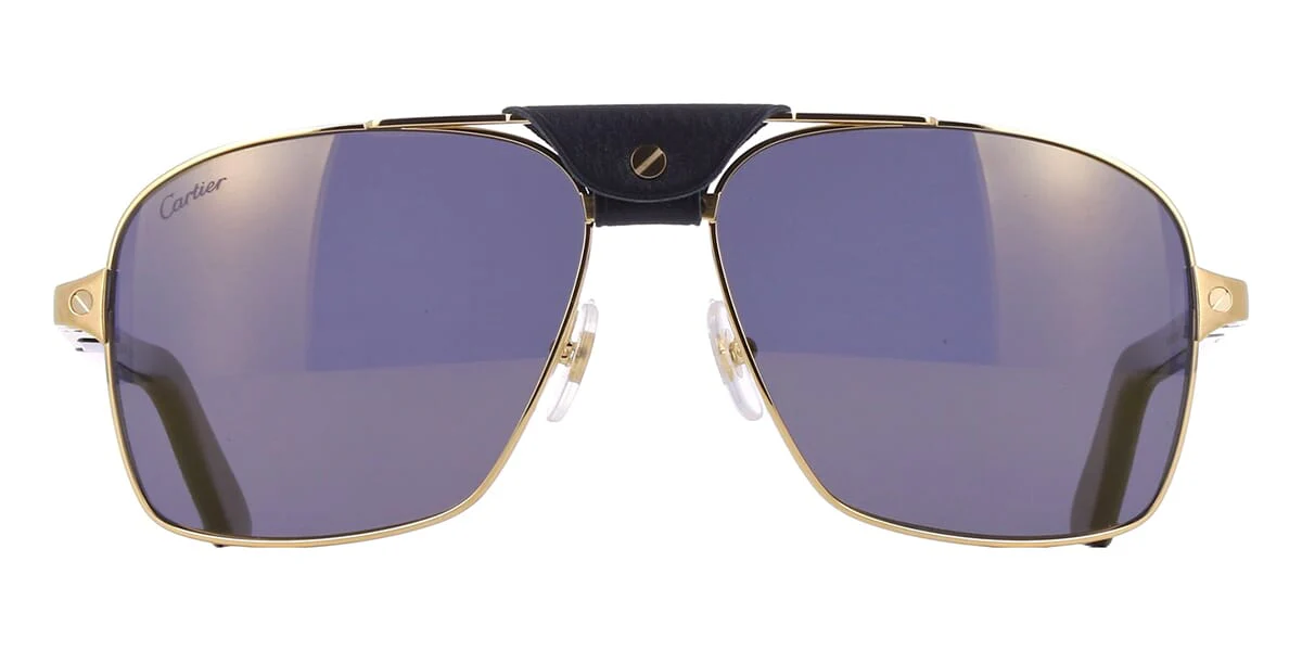 Cartier Buffalo Horn CT0389S 003 1G7 Polarised - Image 2