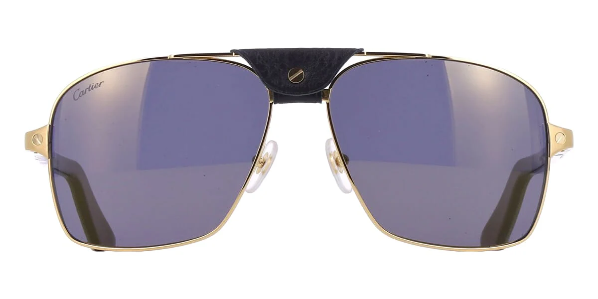 Cartier Buffalo Horn CT0389S 003 1H0 Polarised - Image 2