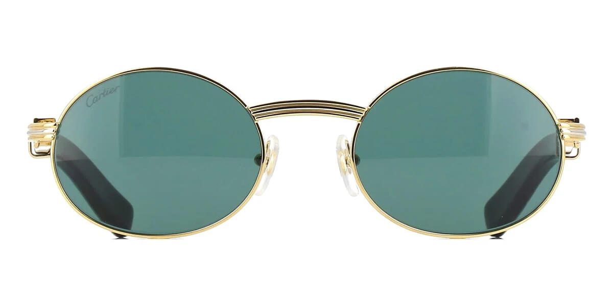 Cartier Buffalo Horn CT0464S 003 3JK - Image 2