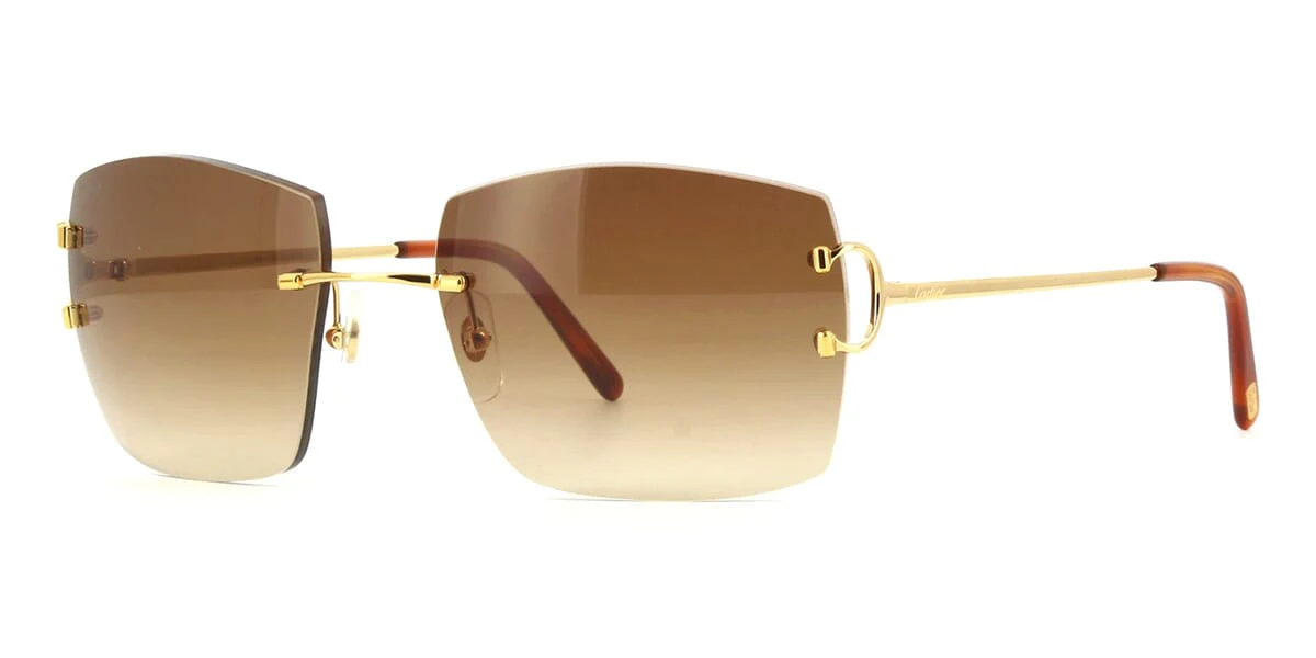 Cartier CT0009RS 001
