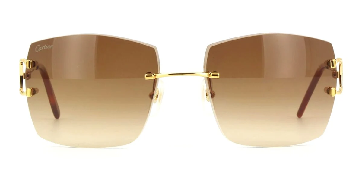 Cartier CT0009RS 001 - Image 2