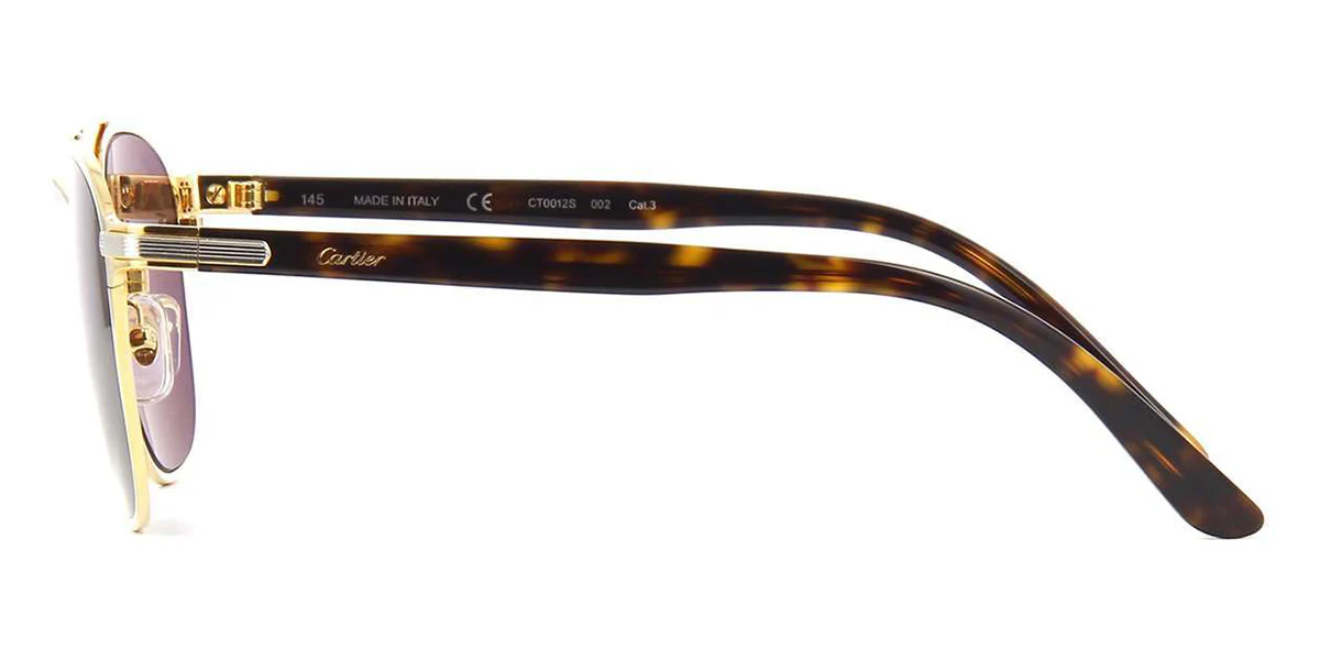 Cartier CT0012S 002 - Image 3