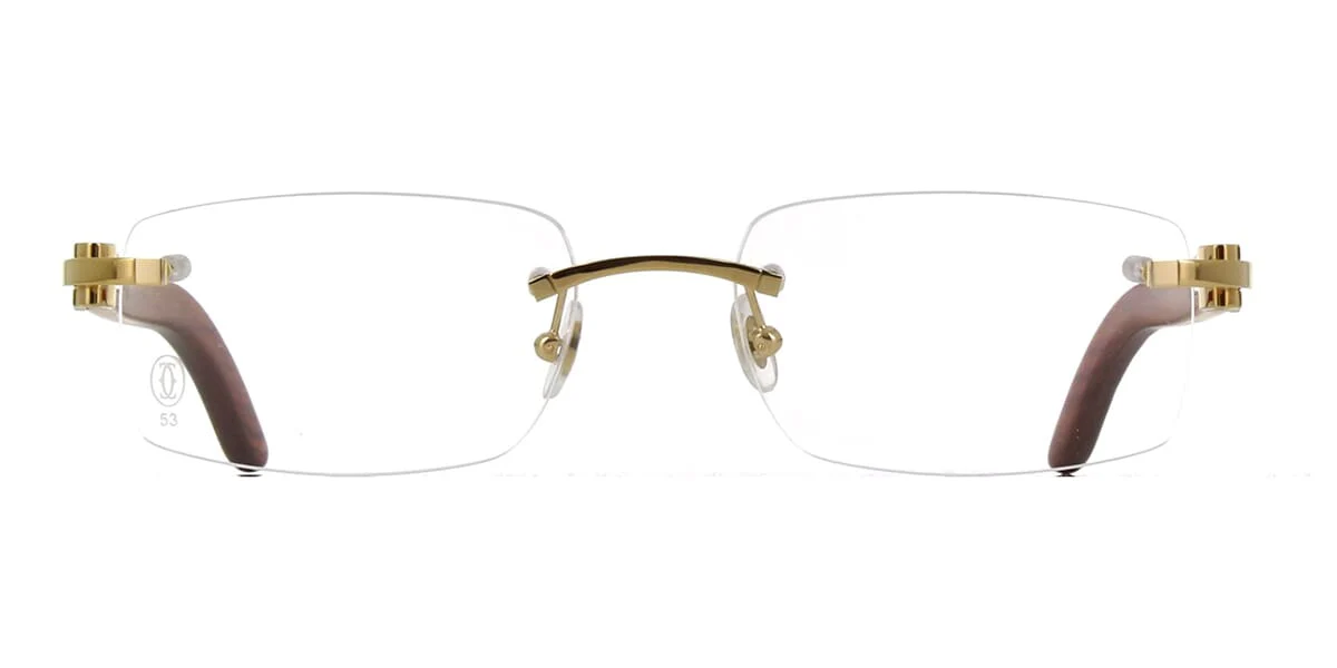 Cartier Ibiza CT0052O 008 - Image 2