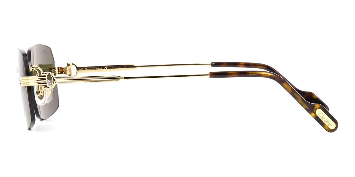 Cartier CT0271S 002 - Image 3
