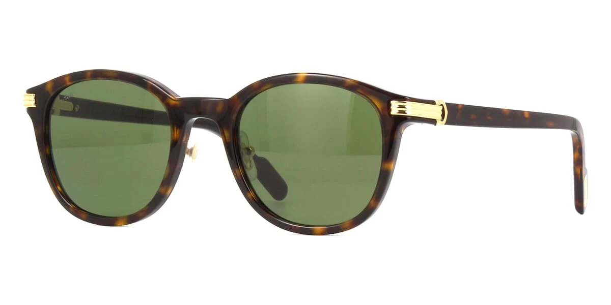 Cartier CT0302S 002
