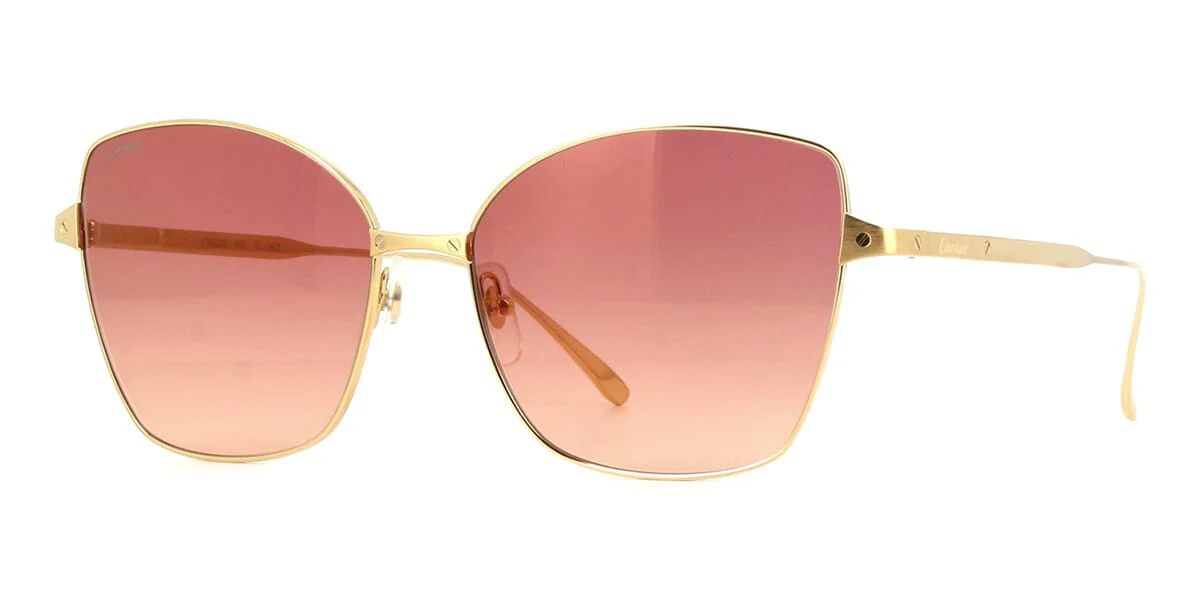 Cartier CT0328S 003