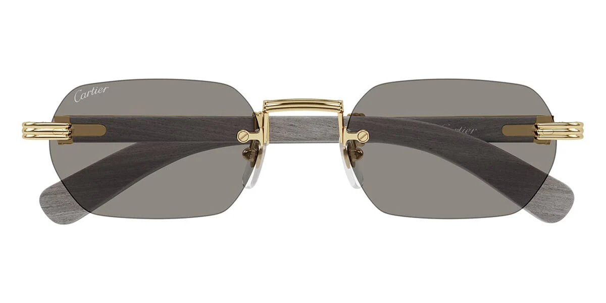 Cartier CT0362S 005 - Image 2