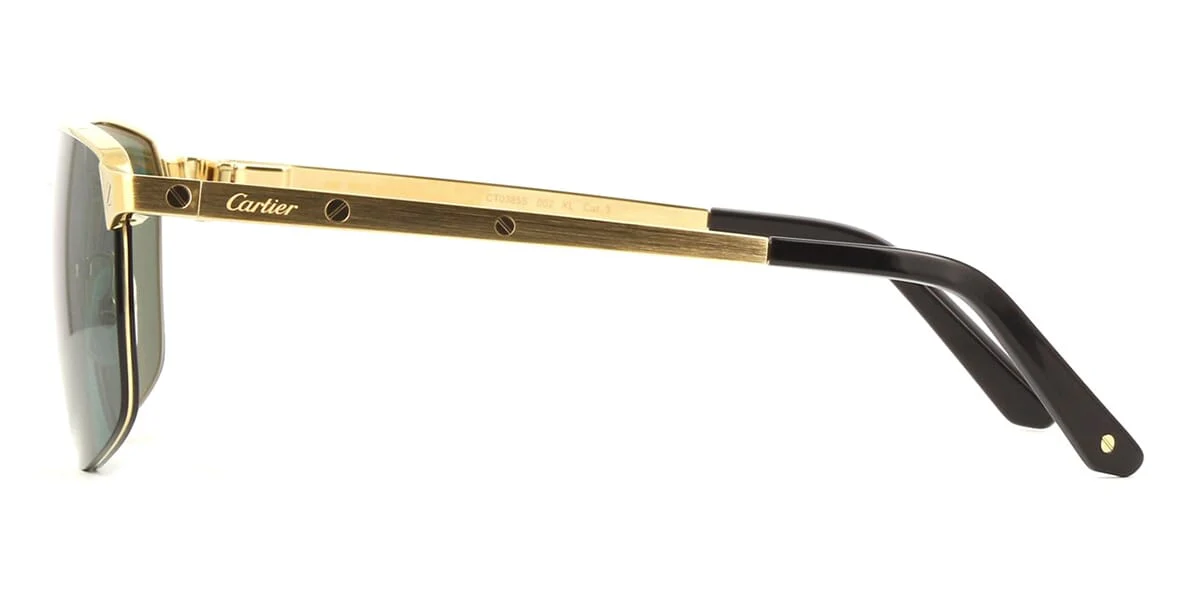 Cartier CT0385S 002 - Image 3