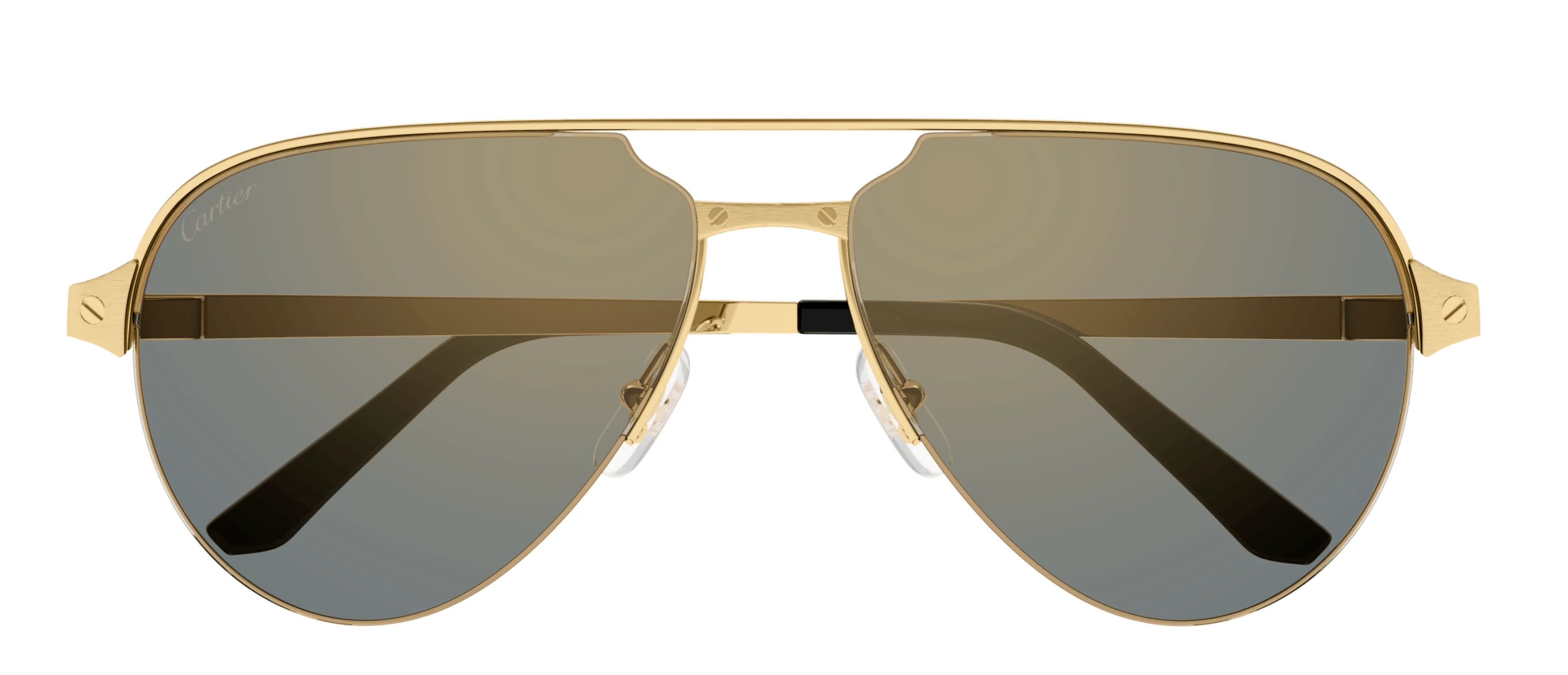 Cartier CT0386S 003