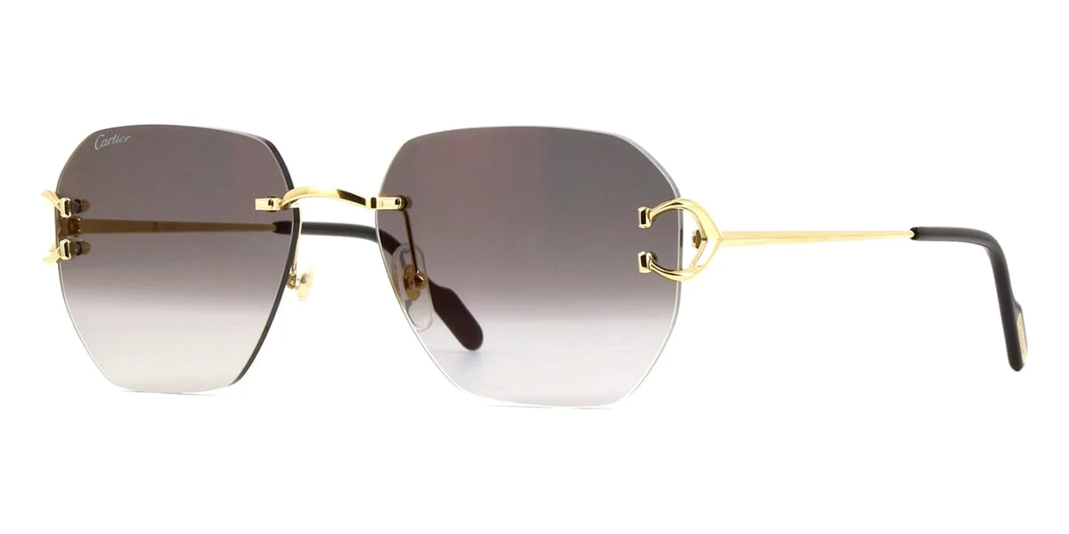 Cartier CT0394S 001