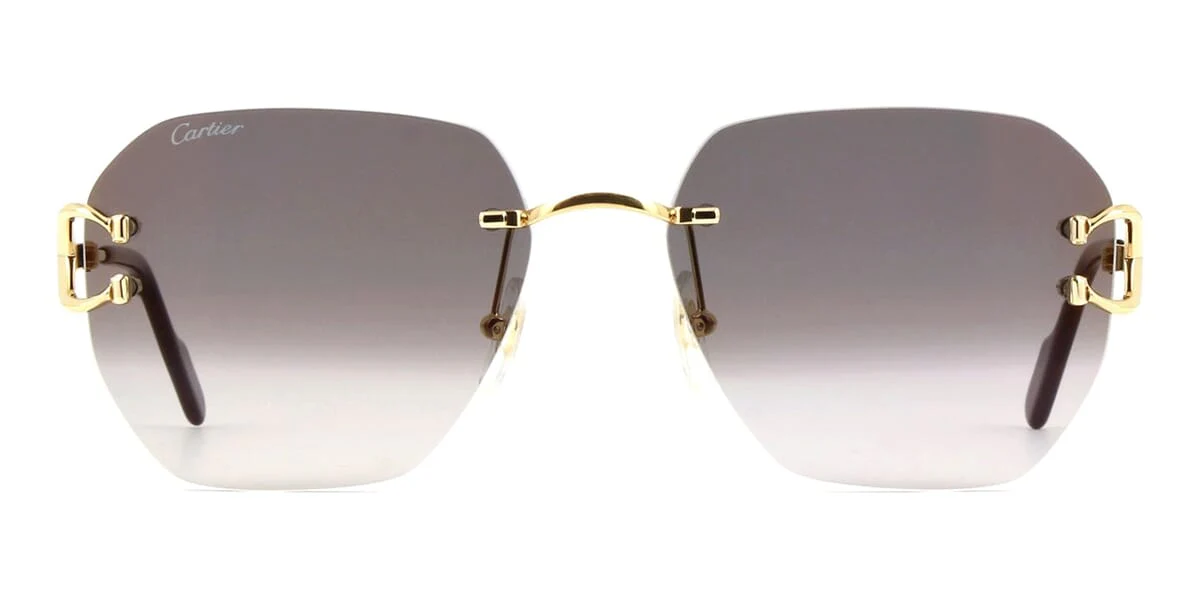 Cartier CT0394S 001 - Image 2