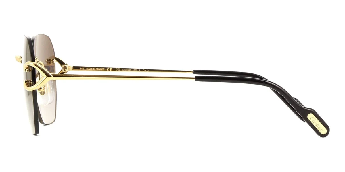 Cartier CT0394S 001 - Image 3