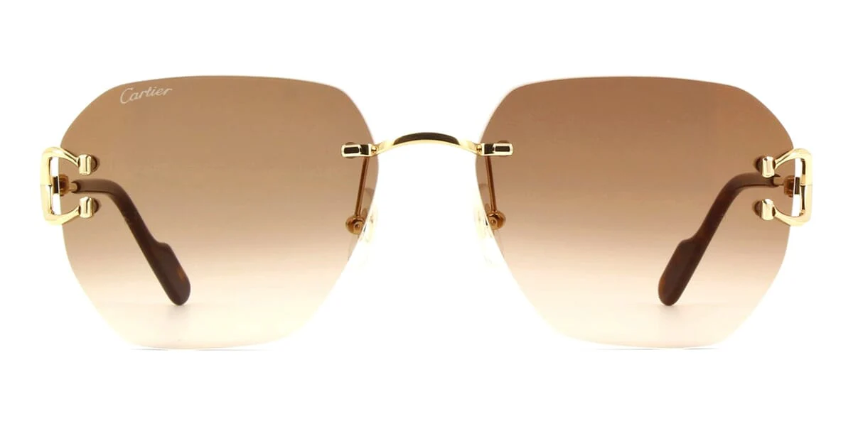 Cartier CT0394S 002 - Image 2