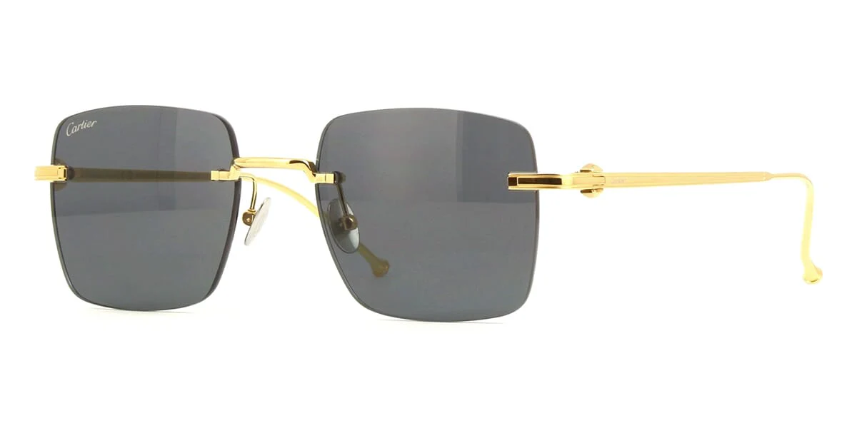 Cartier CT0403S 002