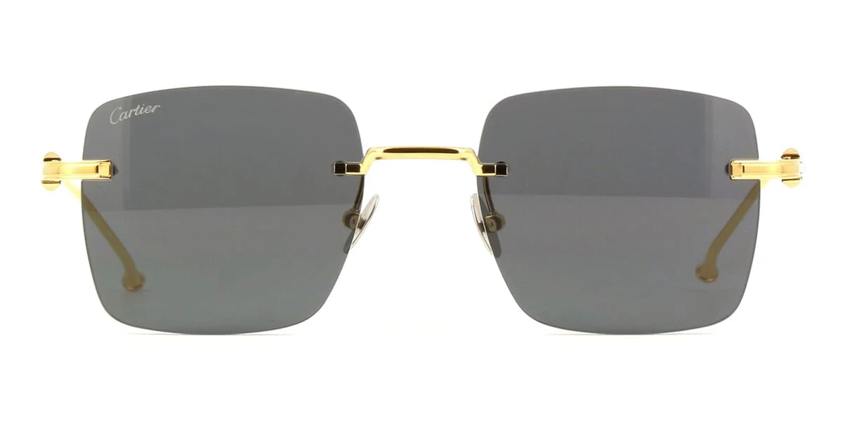 Cartier CT0403S 002 - Image 2