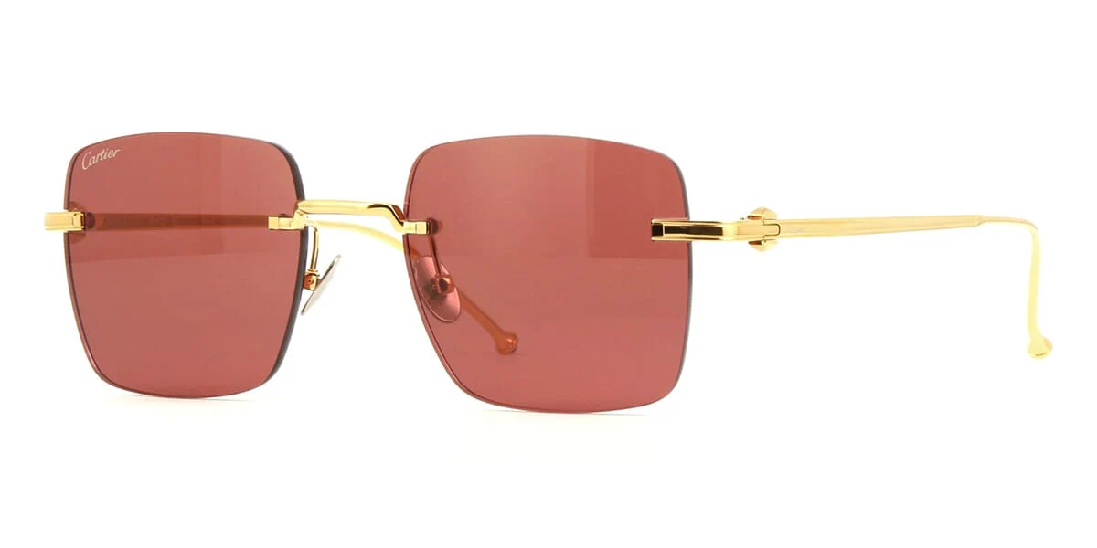 Cartier CT0403S 003 - As Seen On Ella Balinska