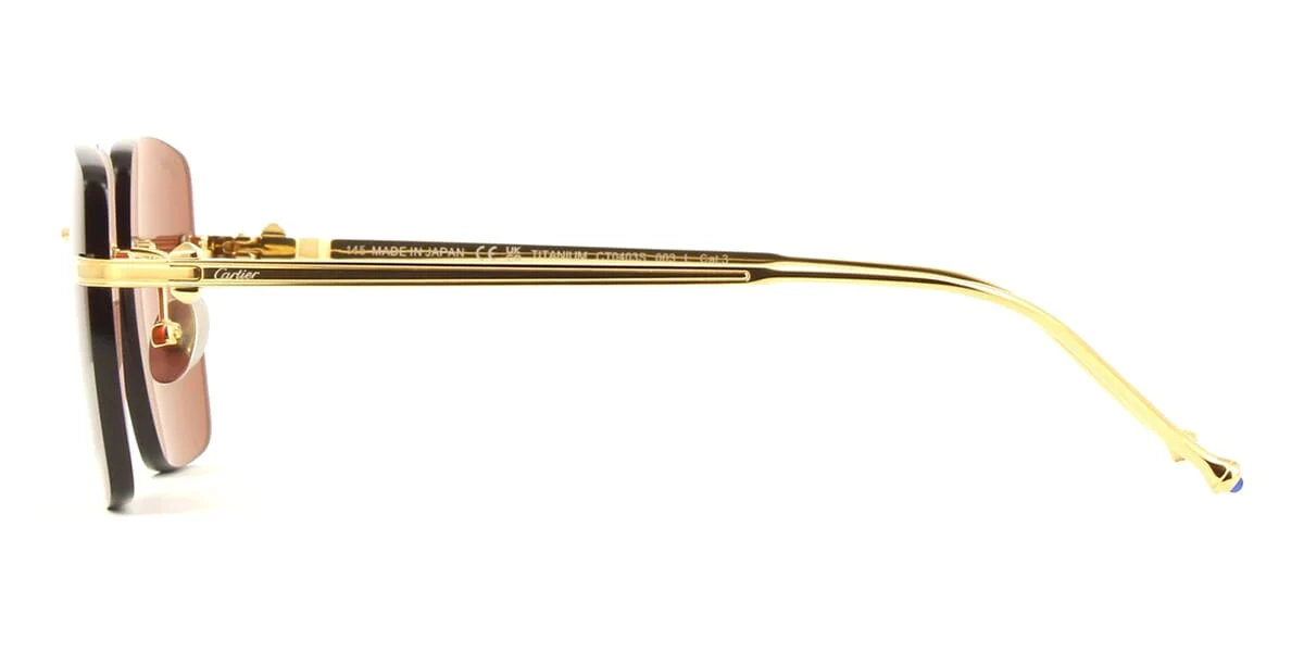 Cartier CT0403S 003 - As Seen On Ella Balinska - Image 3