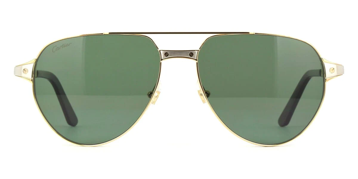 Cartier CT0425S 002 Polarised - As Seen On Fabien Frankel - Image 2