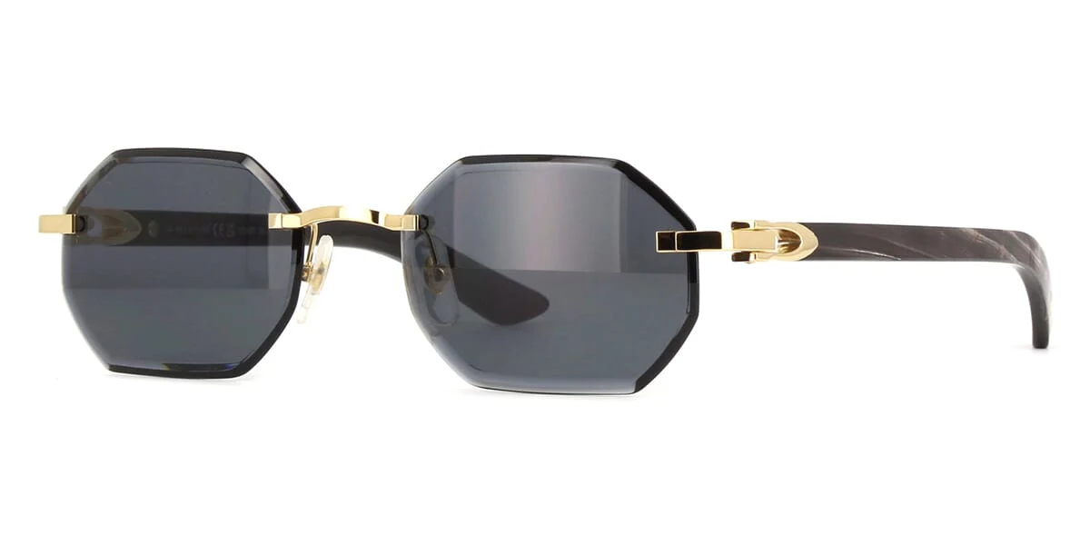Cartier Buffalo Horn CT0439S 001 8C2