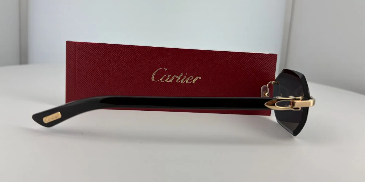 Cartier Buffalo Horn CT0439S 001 8C2 - Image 5