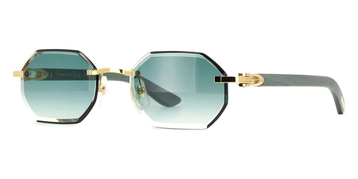 Cartier CT0439S 004 - As Seen On Kim Kardashian & Rami Malek