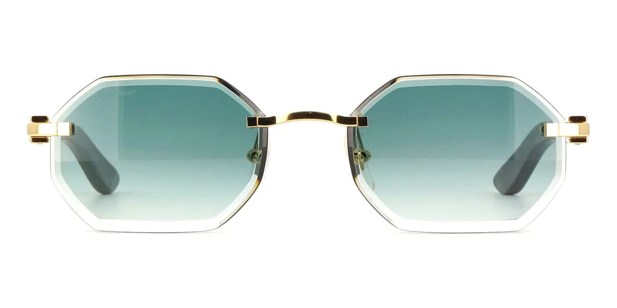 Cartier CT0439S 004 - As Seen On Kim Kardashian & Rami Malek - Image 2