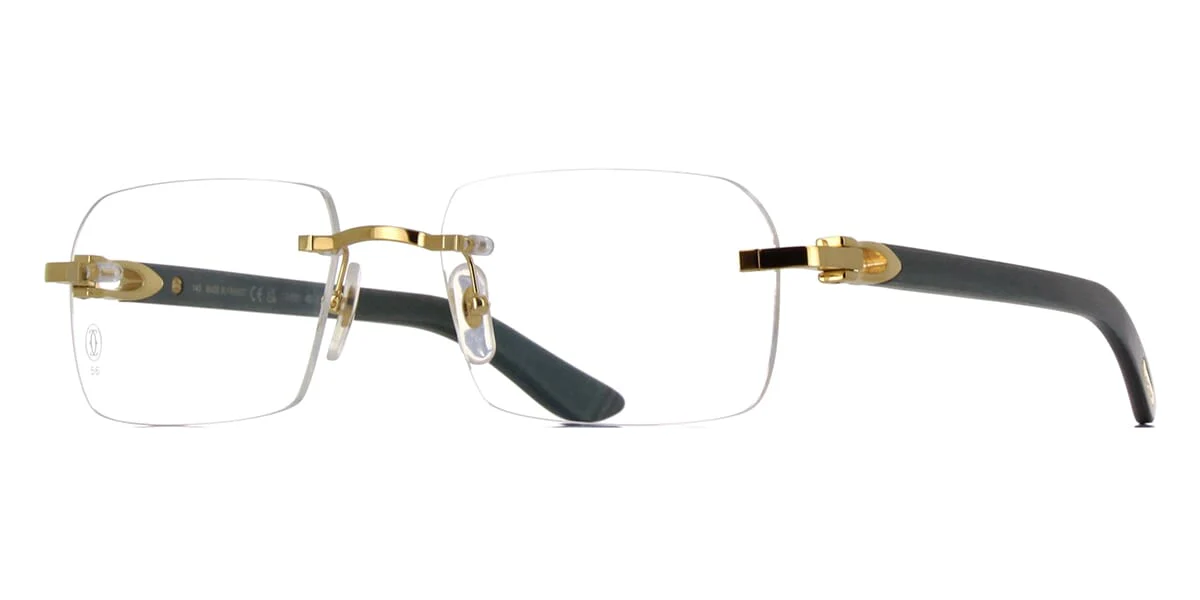 Cartier CT0453O 005
