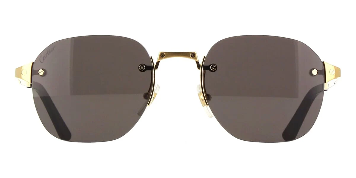 Cartier CT0459S 001 / 005 - Image 2