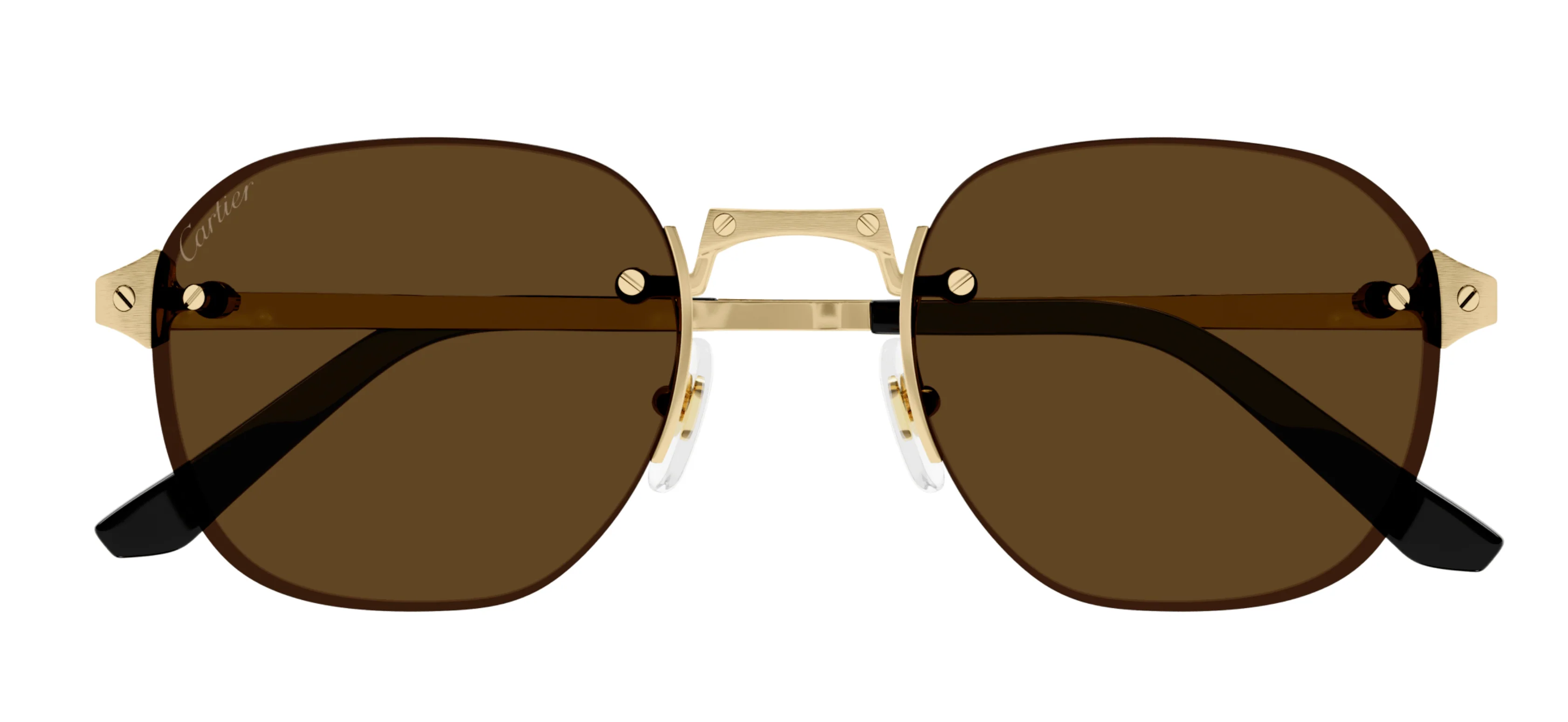 Cartier CT0459S 002 / 006 - Image 3