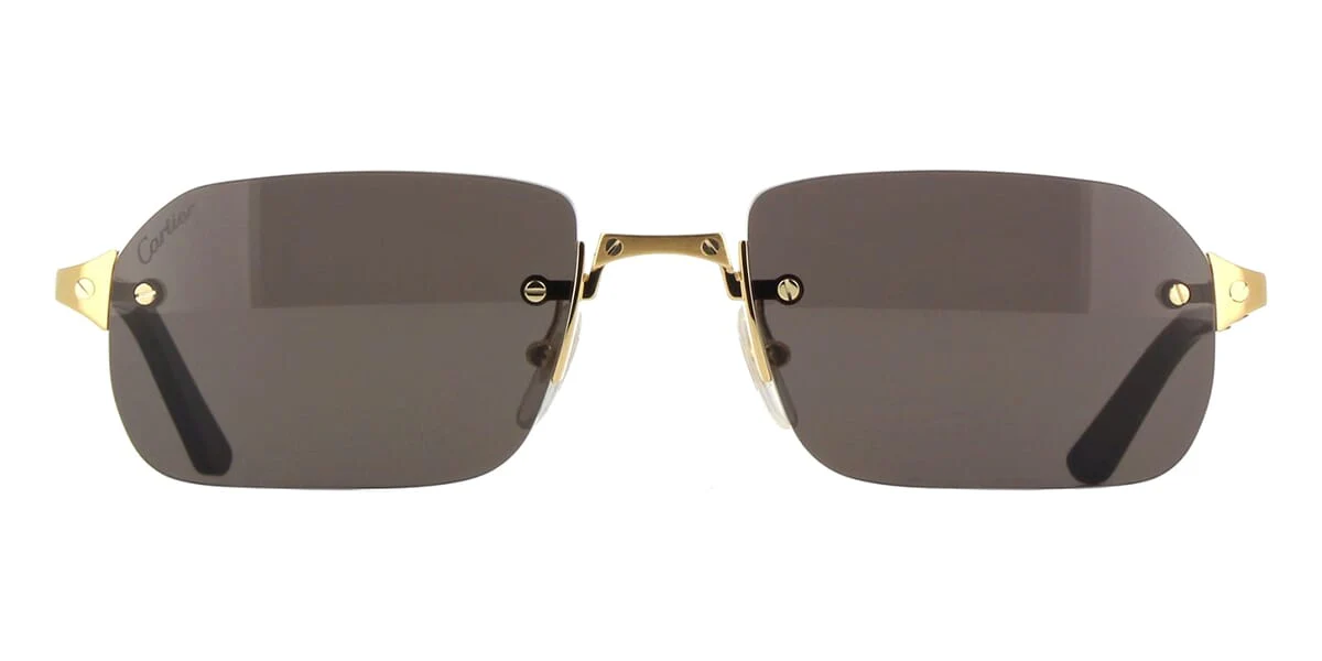 Cartier CT0460S 001 - Image 2
