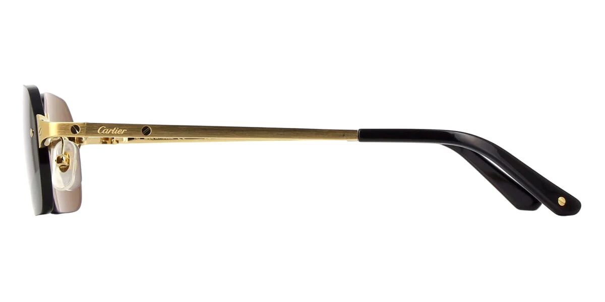 Cartier CT0460S 001 - Image 3