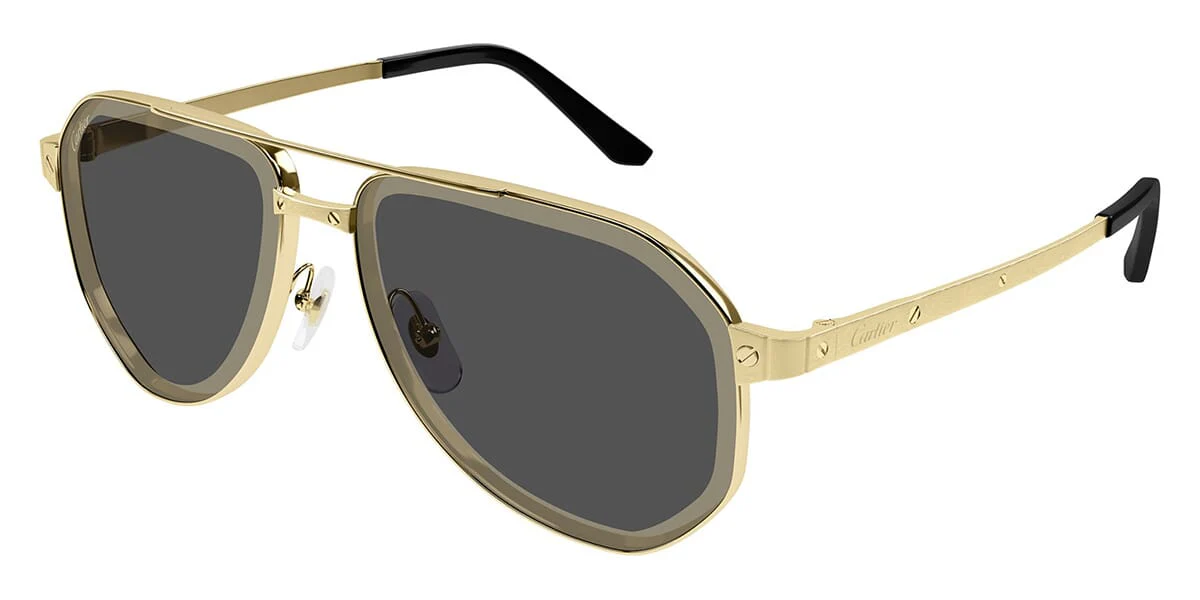 Cartier CT0461S 005