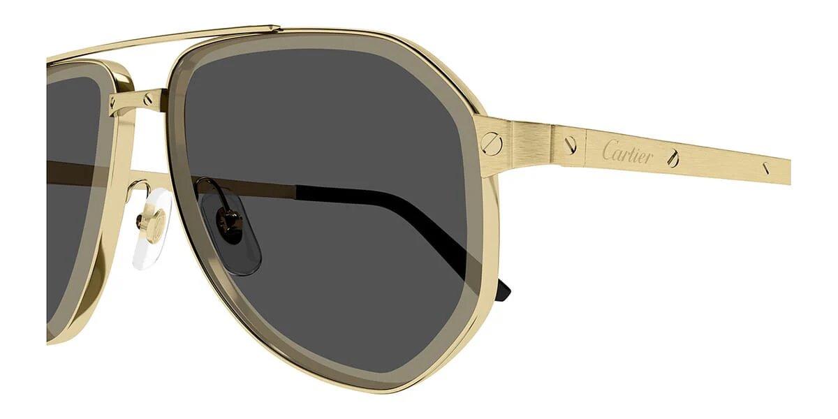 Cartier CT0461S 005 - Image 3